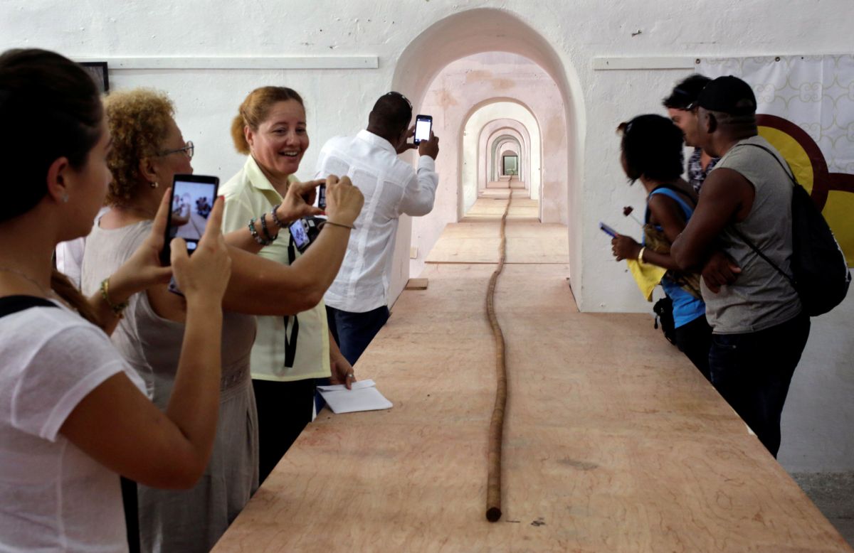 People look at the world's longest cigar that stretches 295 feet 4 inches (90 metres), in Havana, Cuba, August 12, 2016. REUTERS/Enrique de la Osa