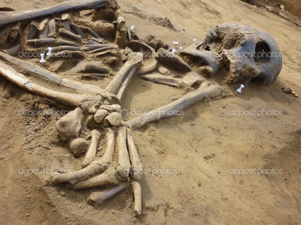 Skeleton of ancient man found during excavations in the flood zone 
